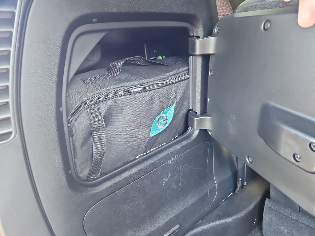 2020 Chrysler Pacifica view 6