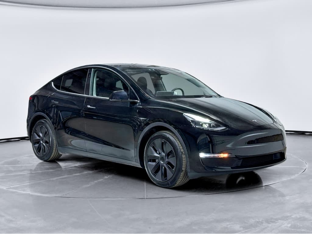 2025 Tesla Model Y view 4