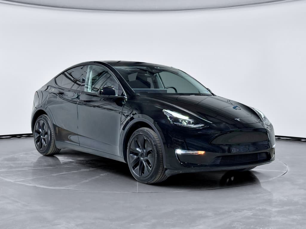 2025 Tesla Model Y view 4