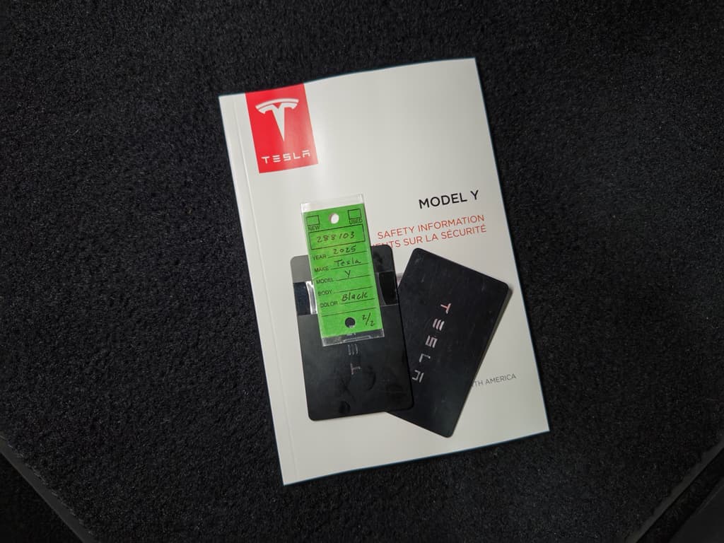 2025 Tesla Model Y view 21