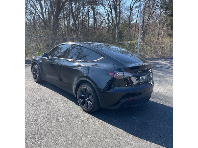 2024 Tesla Model Y view 4