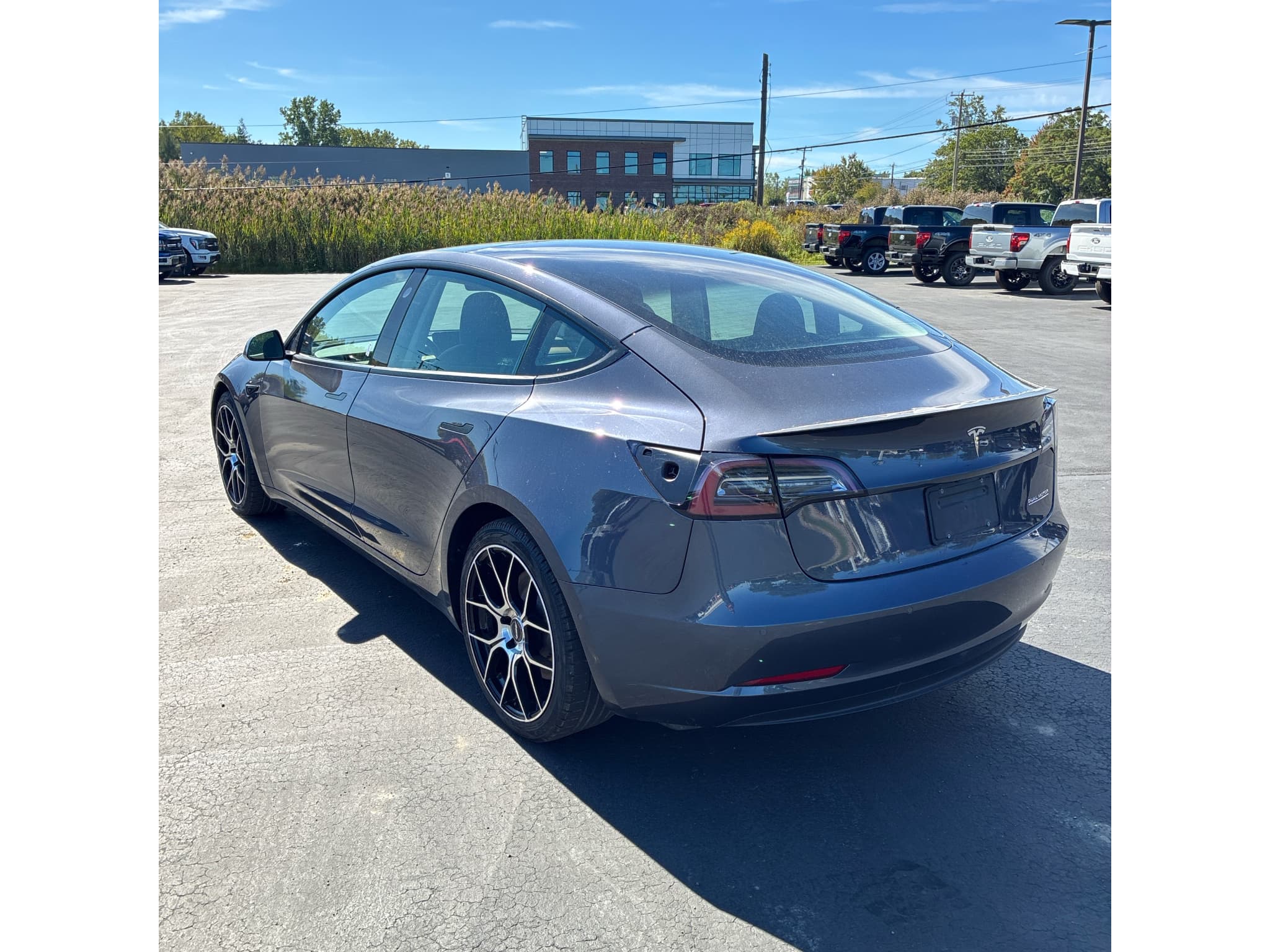 2022 Tesla Model 3 view 3