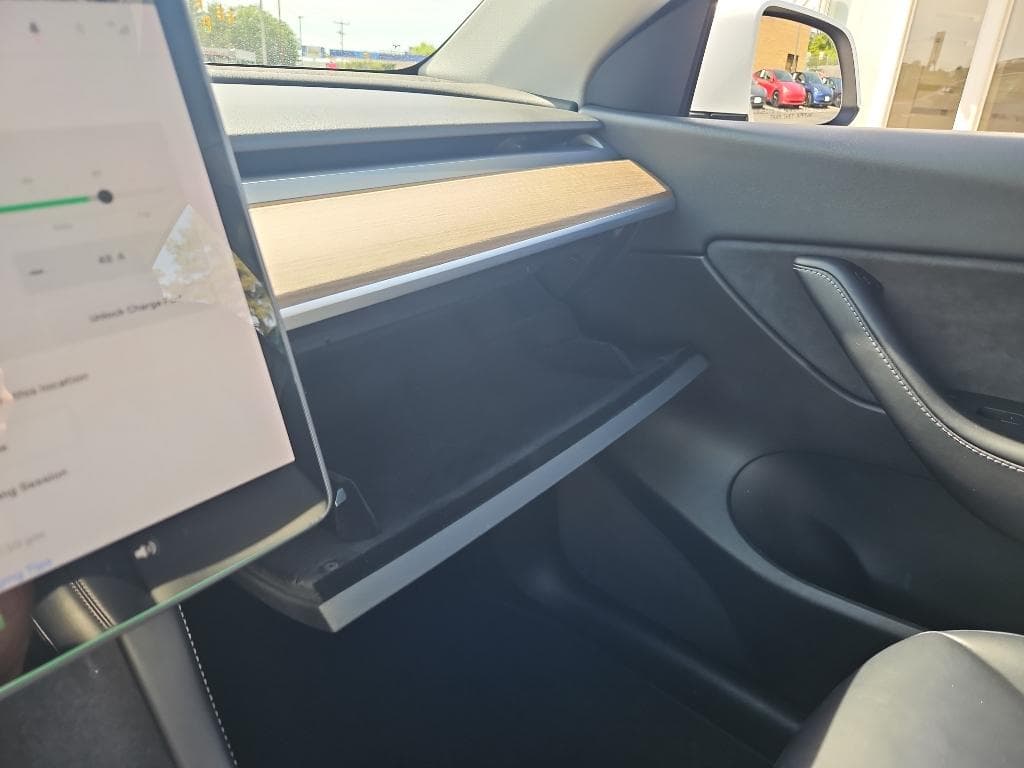 2021 Tesla Model Y view 15