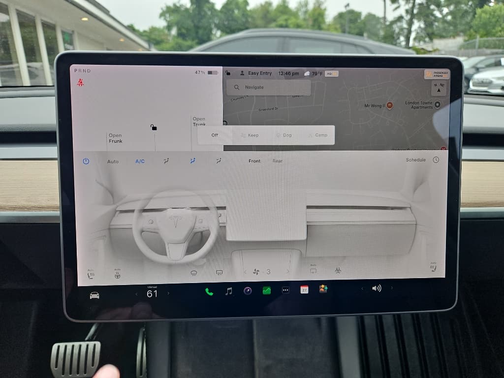 2021 Tesla Model Y view 13