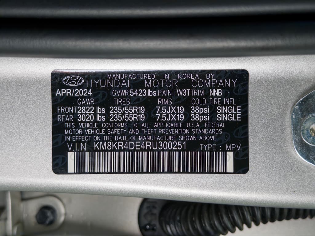 2024 Hyundai IONIQ 5 view 30