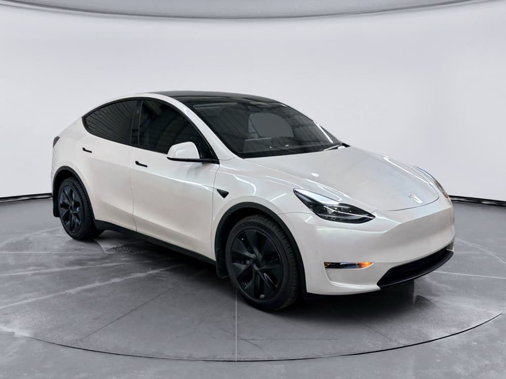 2024 Tesla Model Y view 4