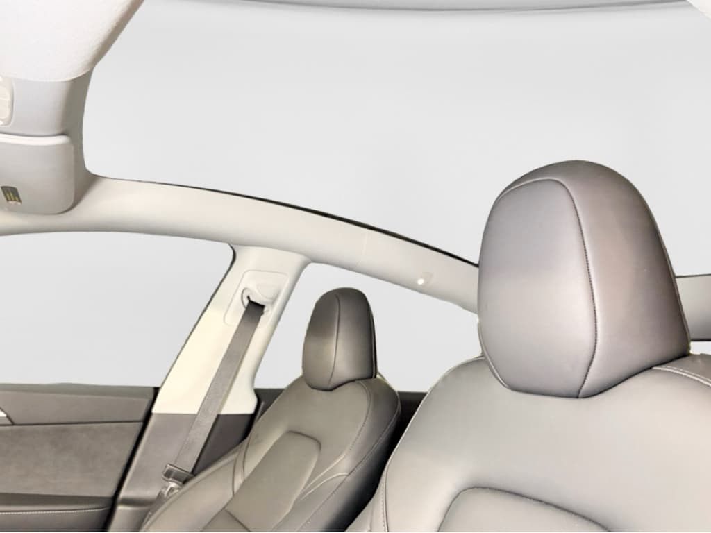 2024 Tesla Model Y view 22
