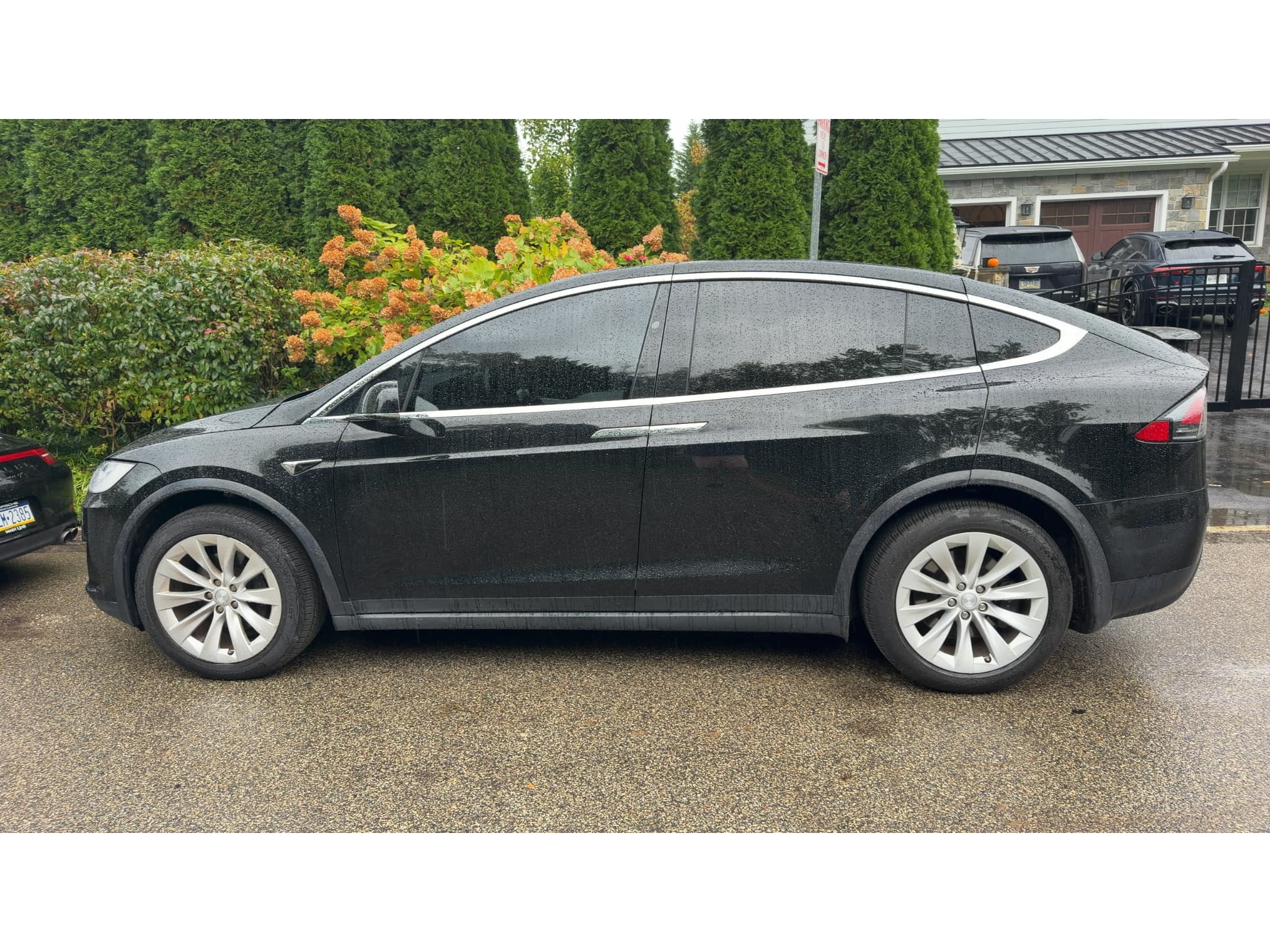 2020 Tesla Model X view 2