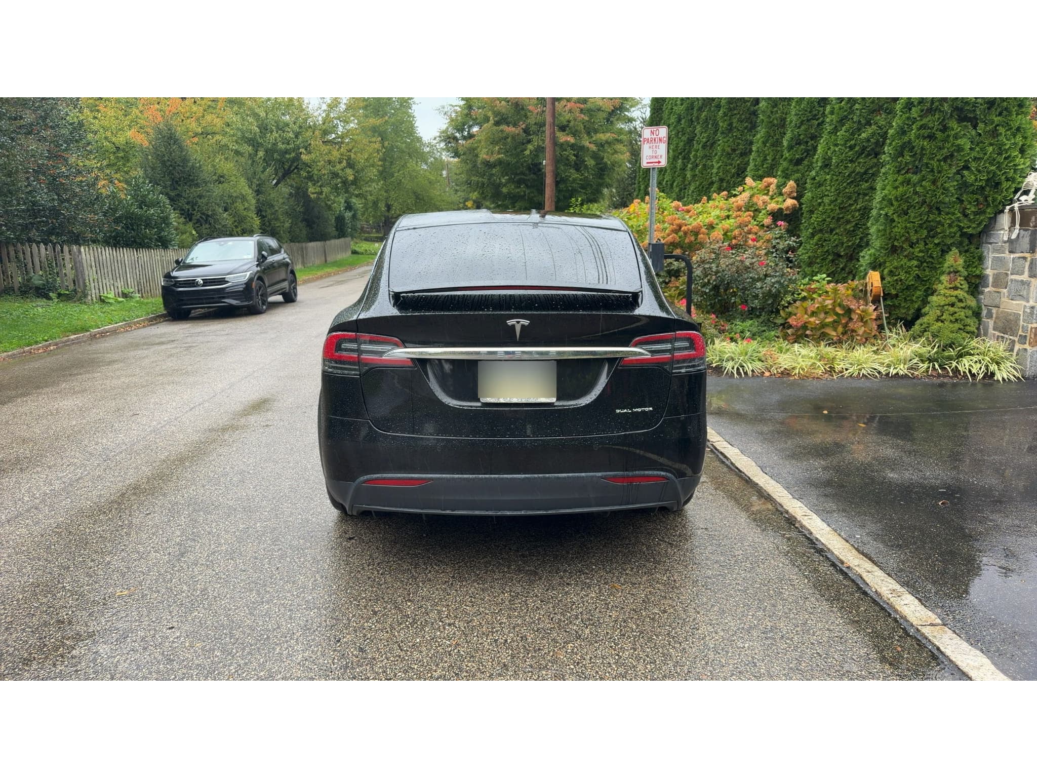 2020 Tesla Model X view 4