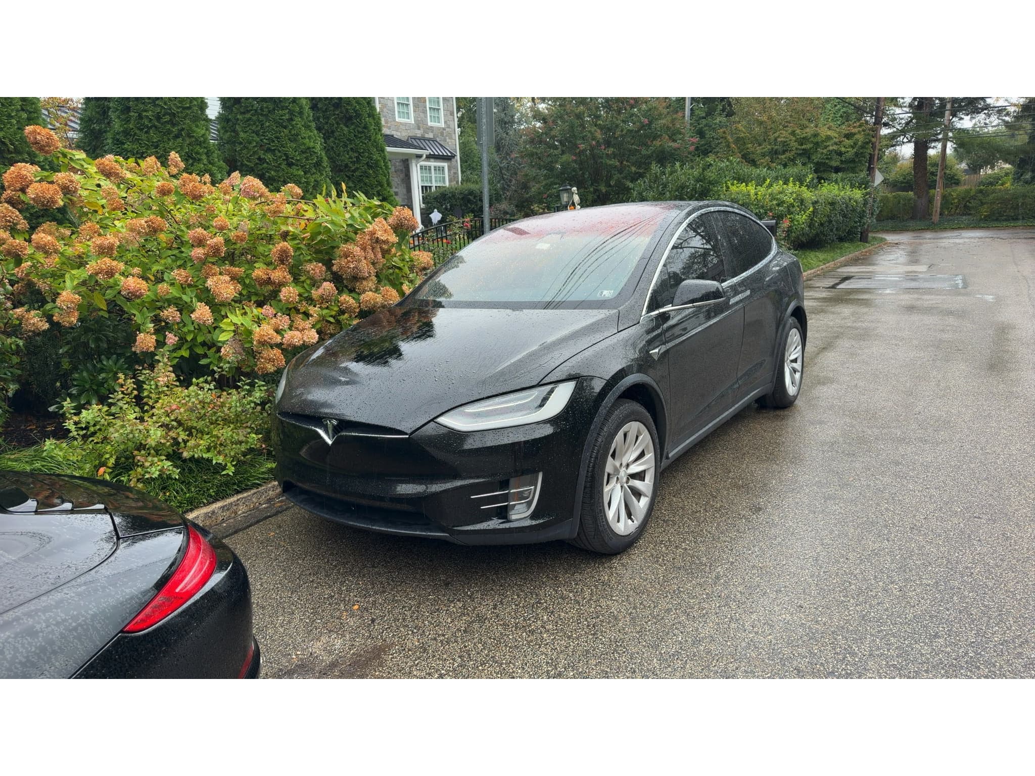 2020 Tesla Model X view 1