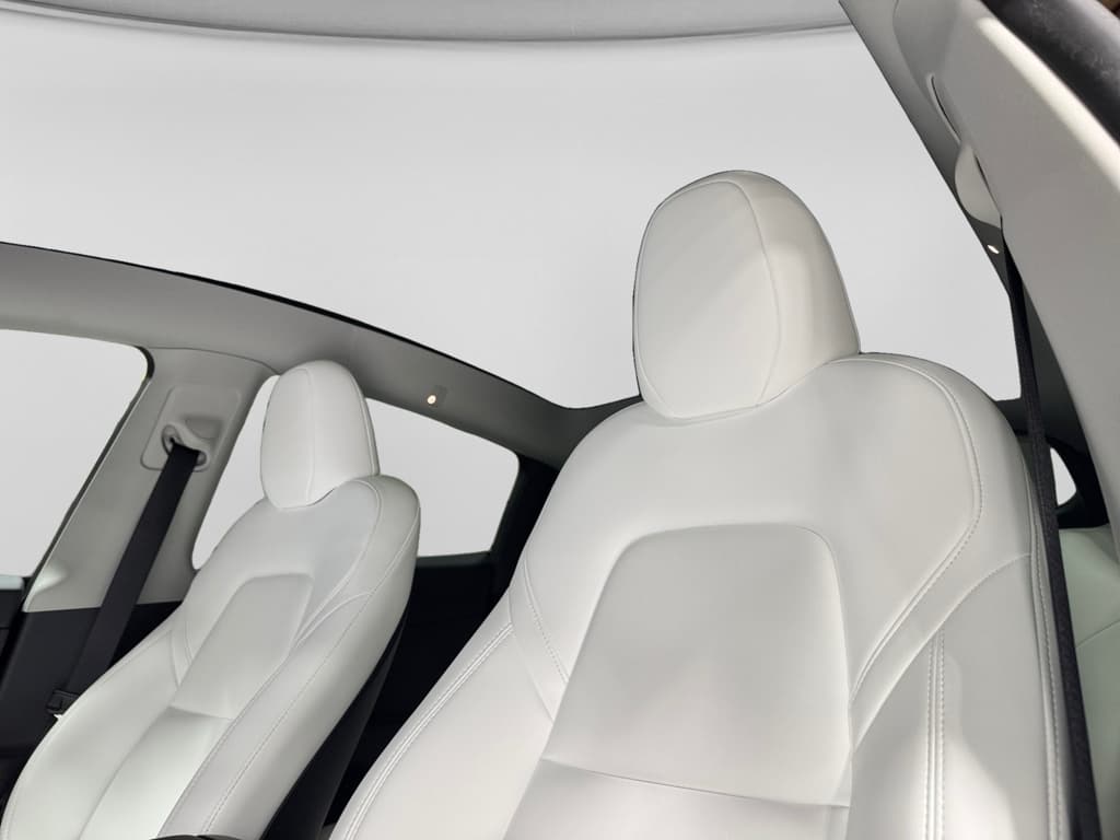 2024 Tesla Model Y view 22