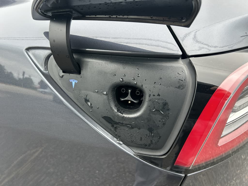 2022 Tesla Model 3 view 5