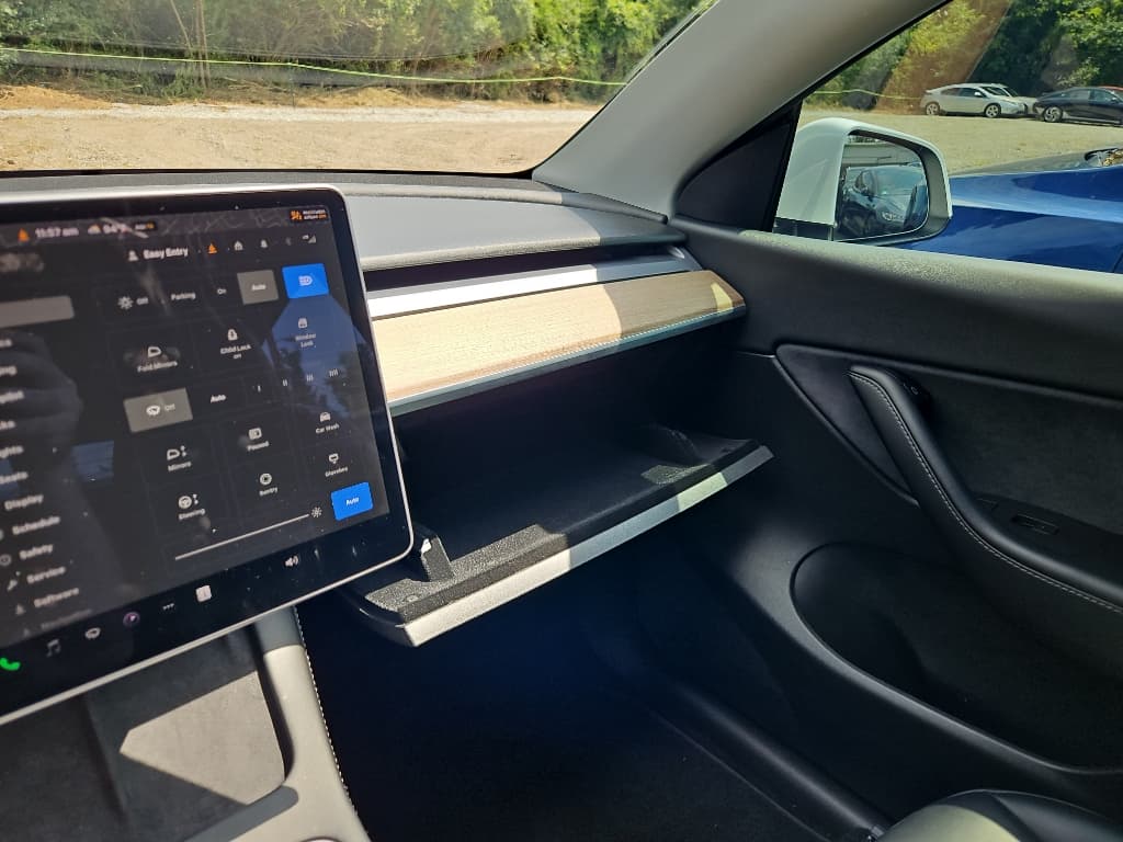 2022 Tesla Model Y view 15
