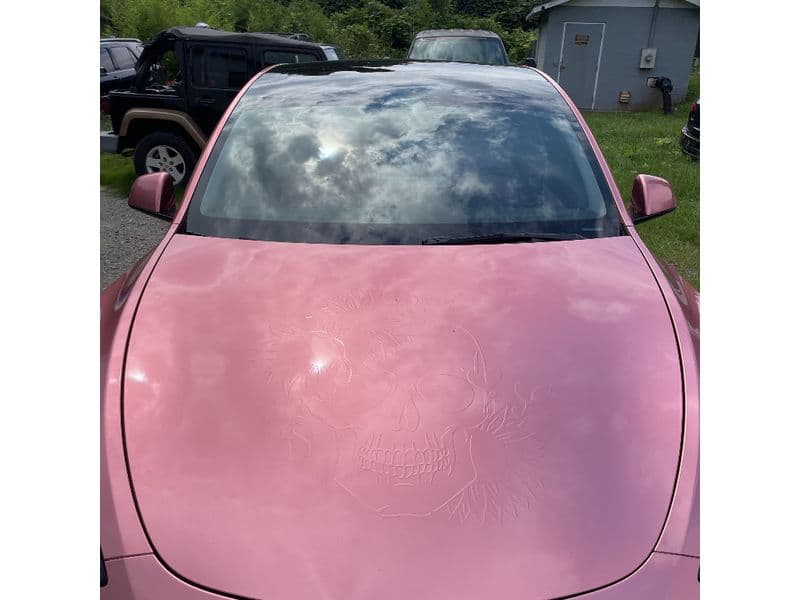 2022 Tesla Model Y view 5