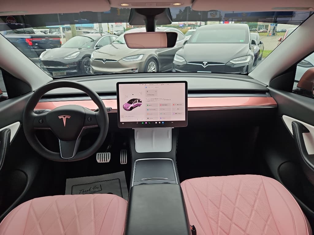 2022 Tesla Model Y view 14
