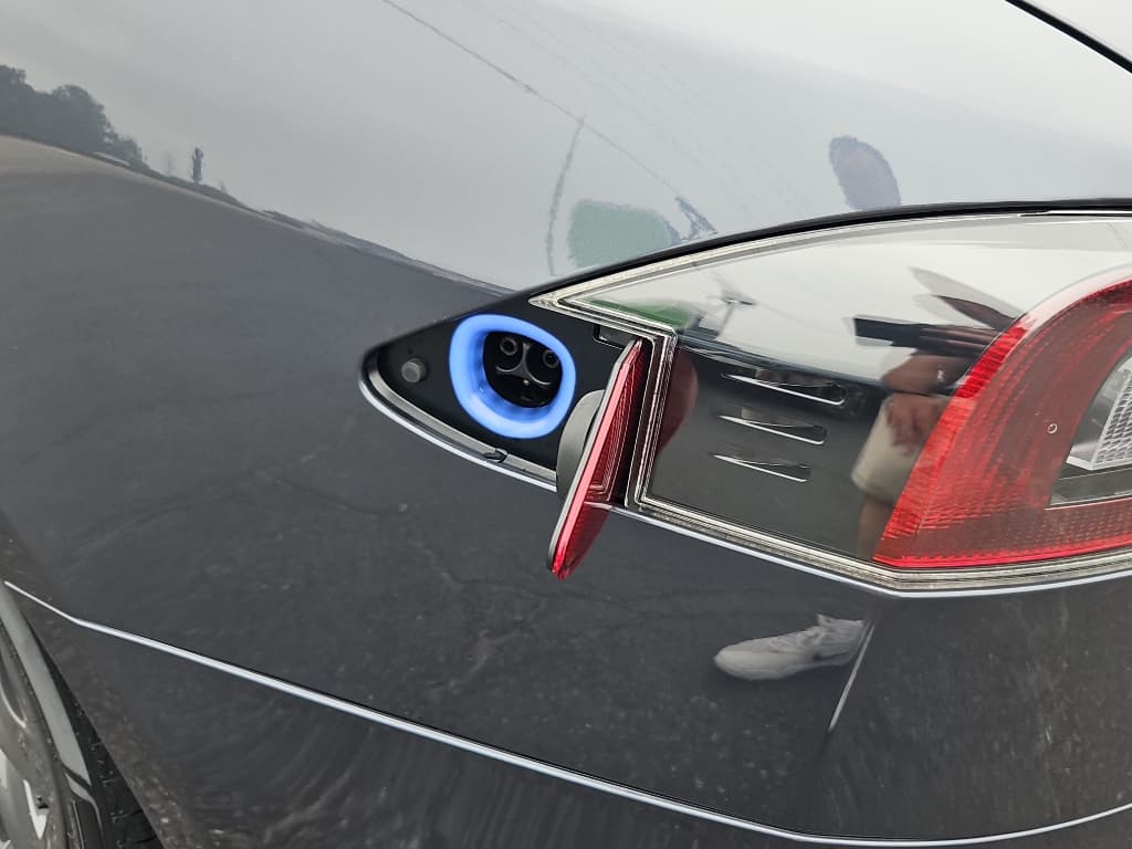 2019 Tesla Model S view 5