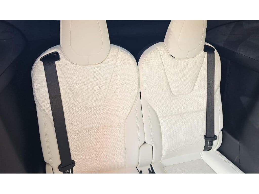 2022 Tesla Model X view 9