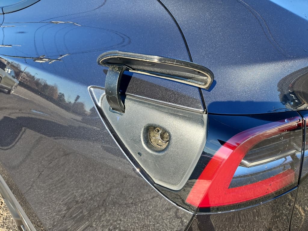 2025 Tesla Model Y view 5