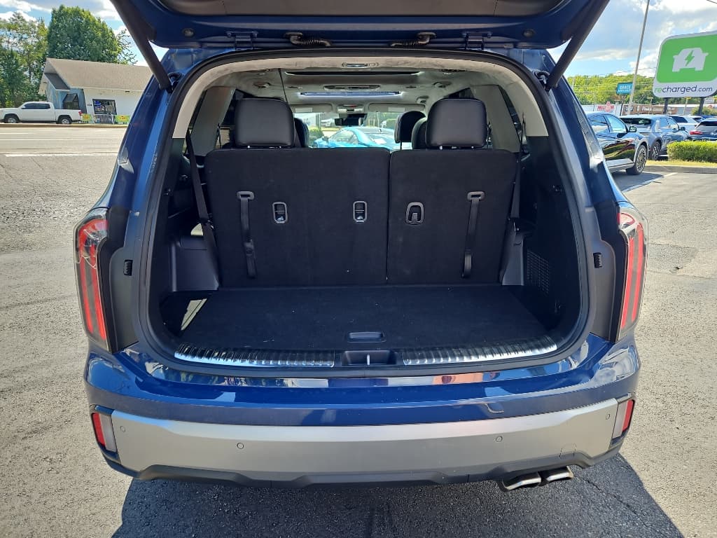 2023 Kia Telluride view 9