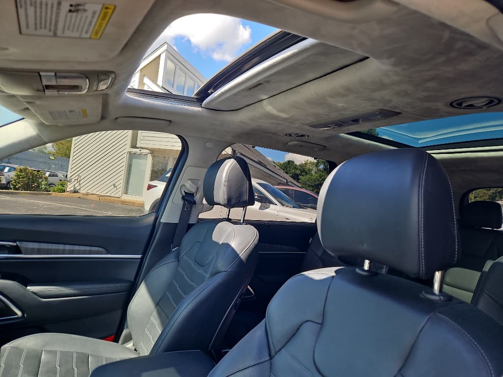 2023 Kia Telluride view 6