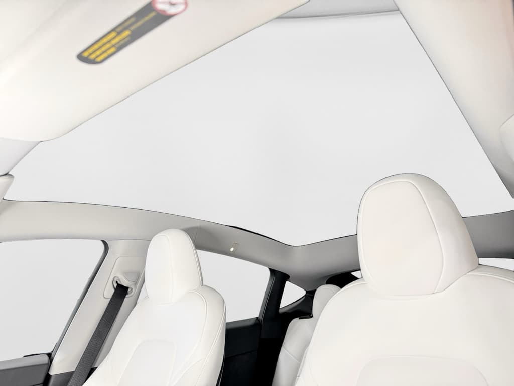 2025 Tesla Model Y view 23