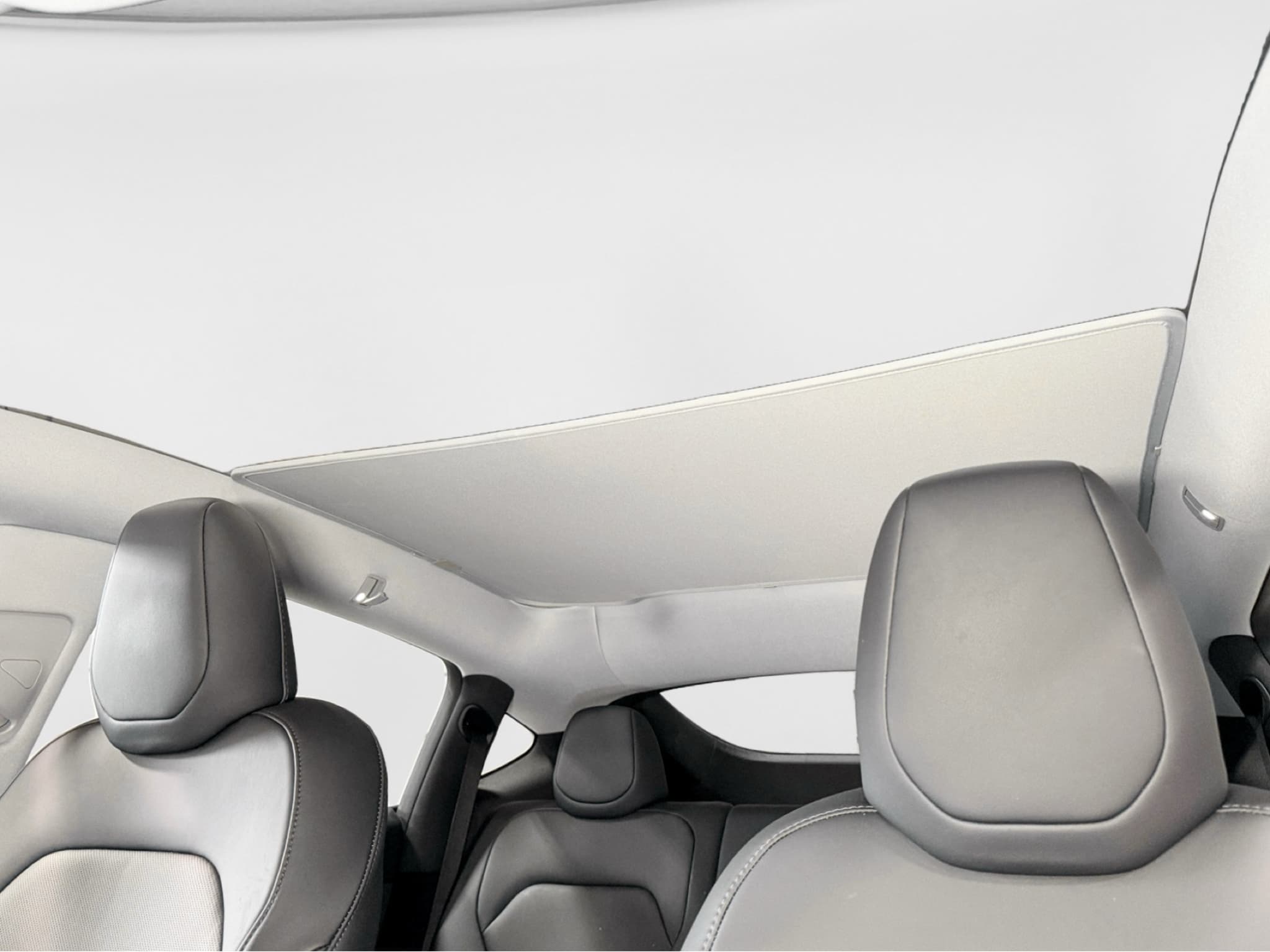 2026 Tesla Model Y view 22