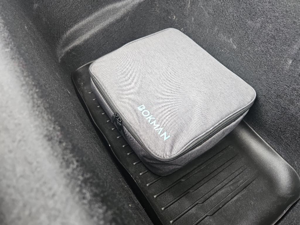2022 Tesla Model Y view 6