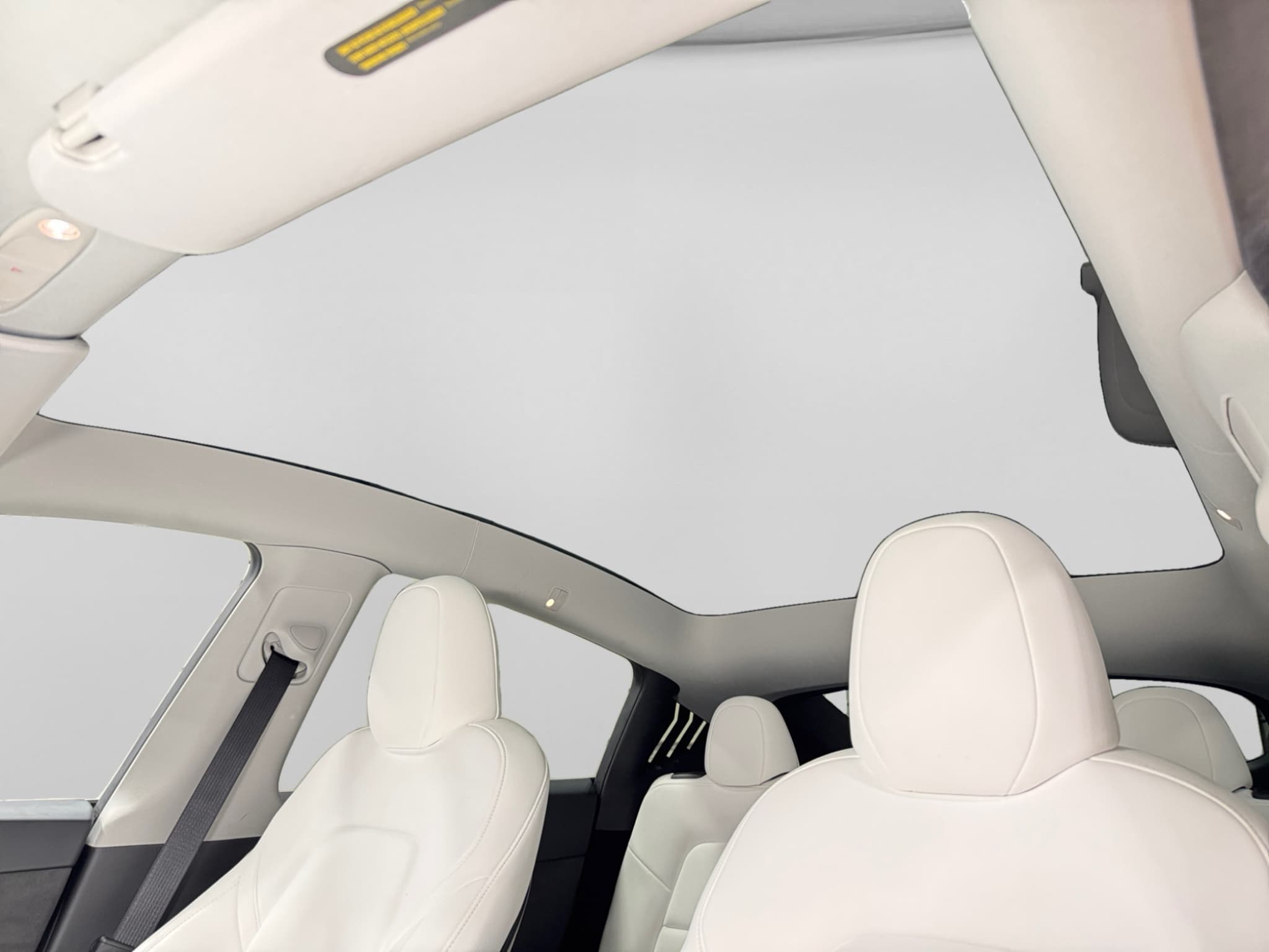 2025 Tesla Model Y view 24