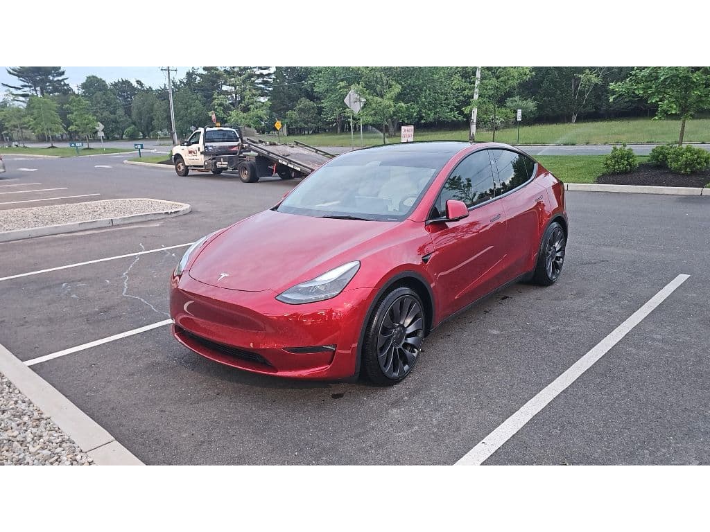 2025 Tesla Model Y