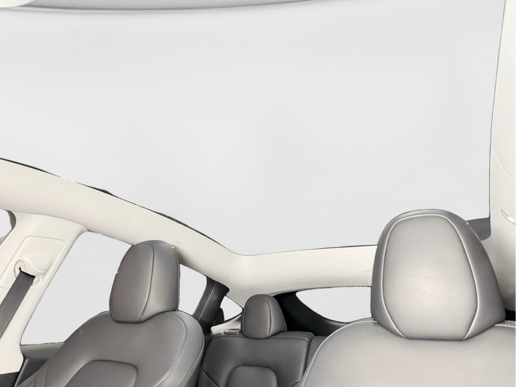 2025 Tesla Model Y view 22