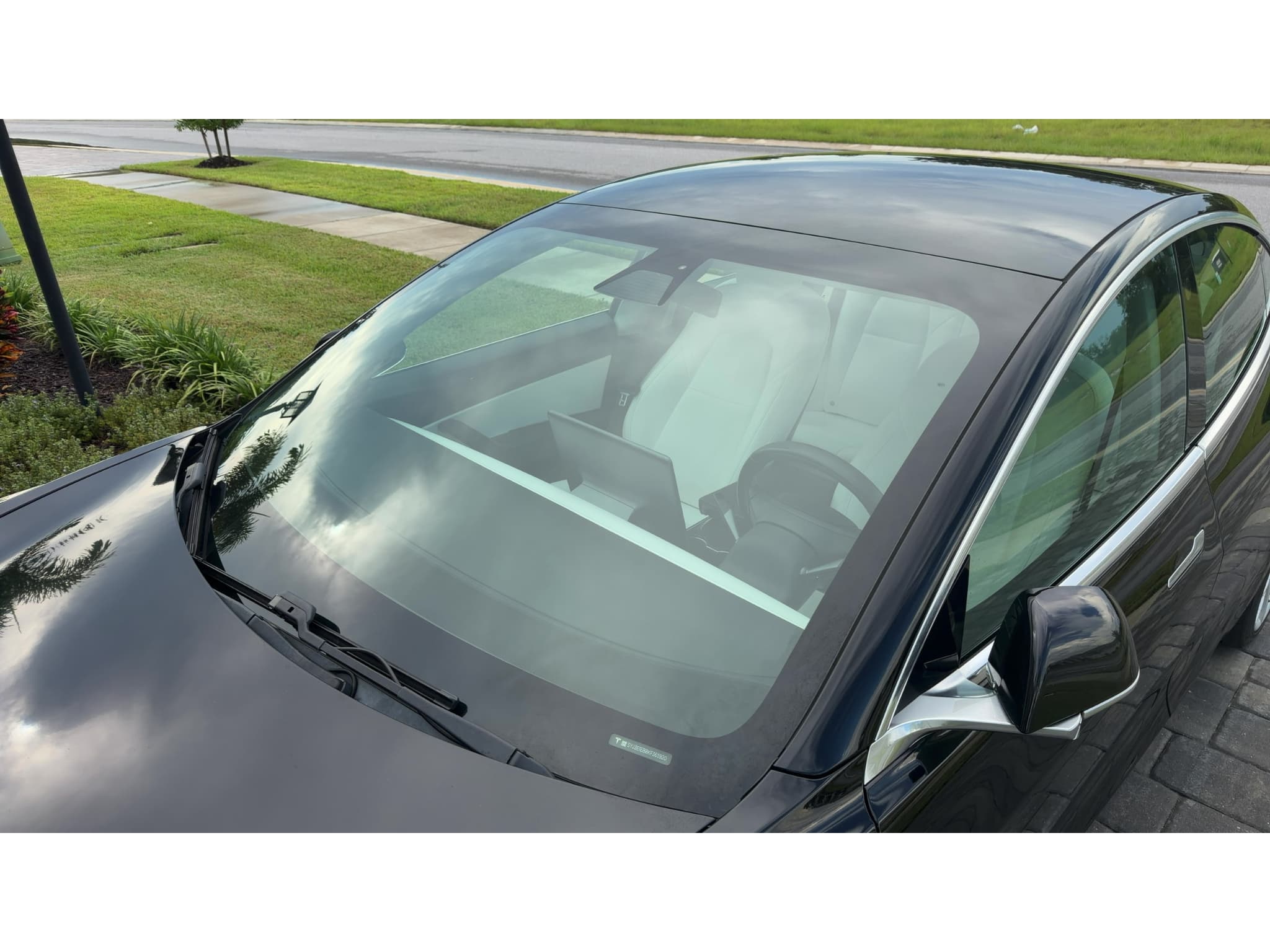 2019 Tesla Model 3 view 8