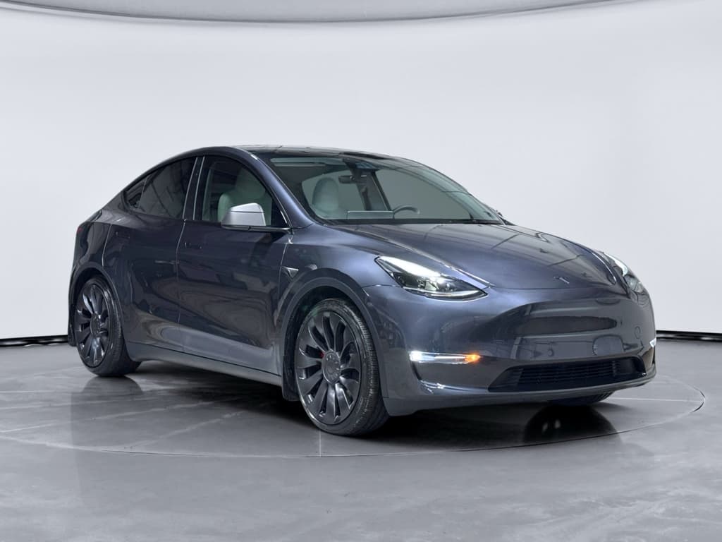 2025 Tesla Model Y view 4