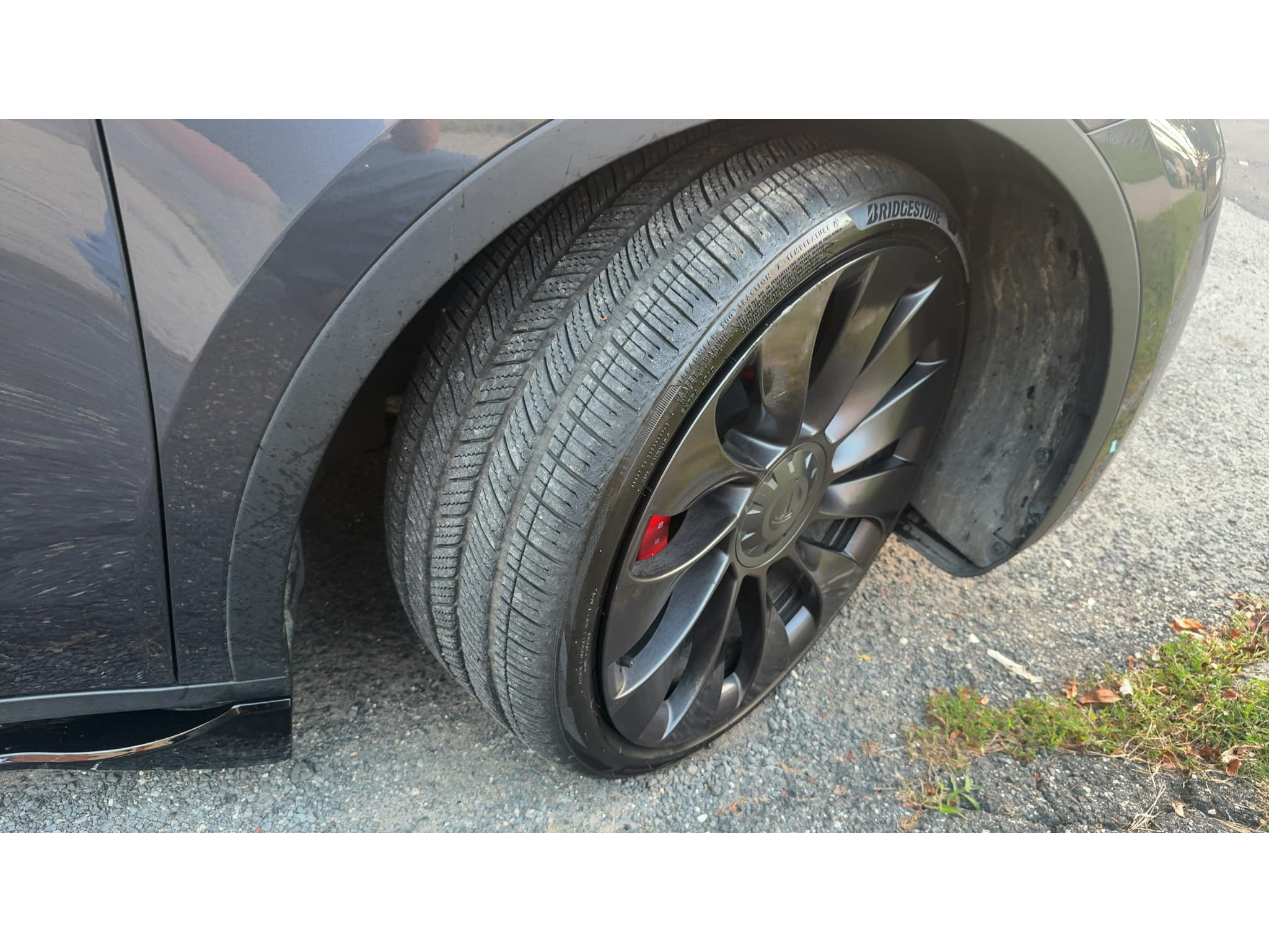 2022 Tesla Model Y view 12