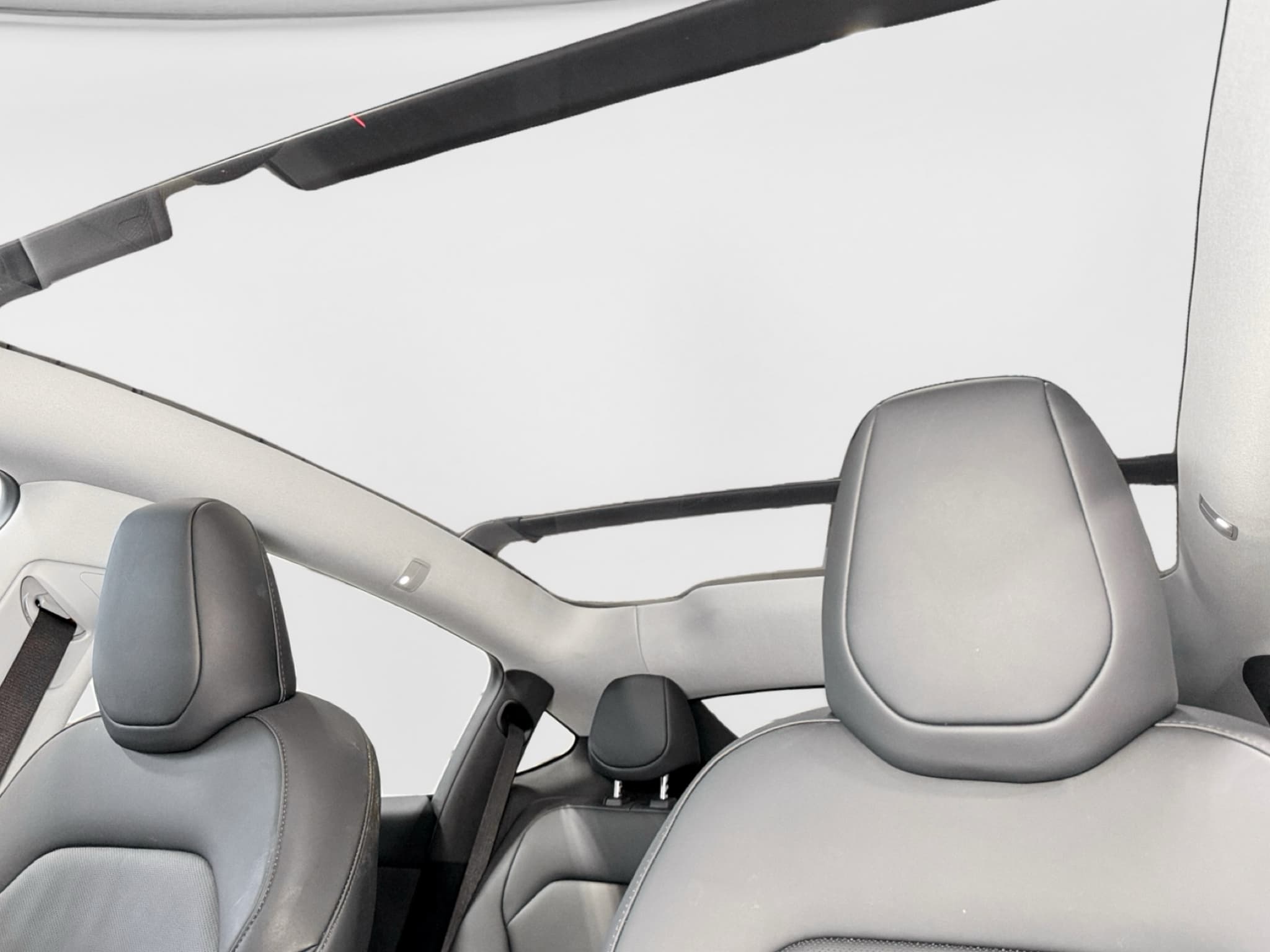 2026 Tesla Model Y view 22