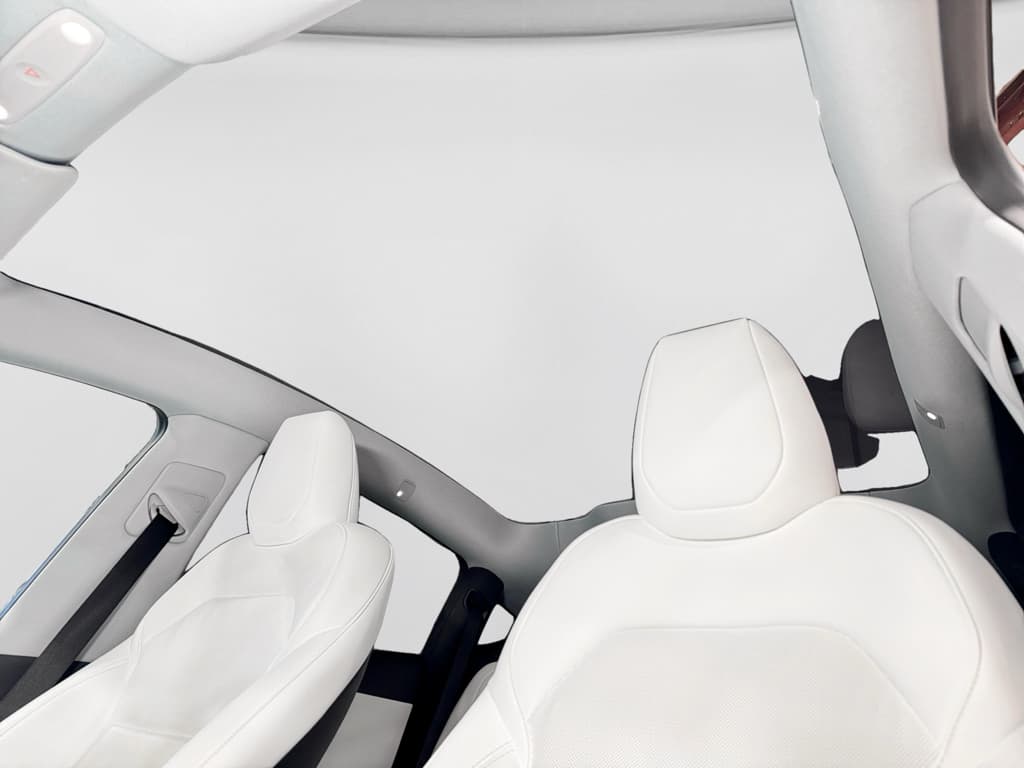 2026 Tesla Model Y view 22