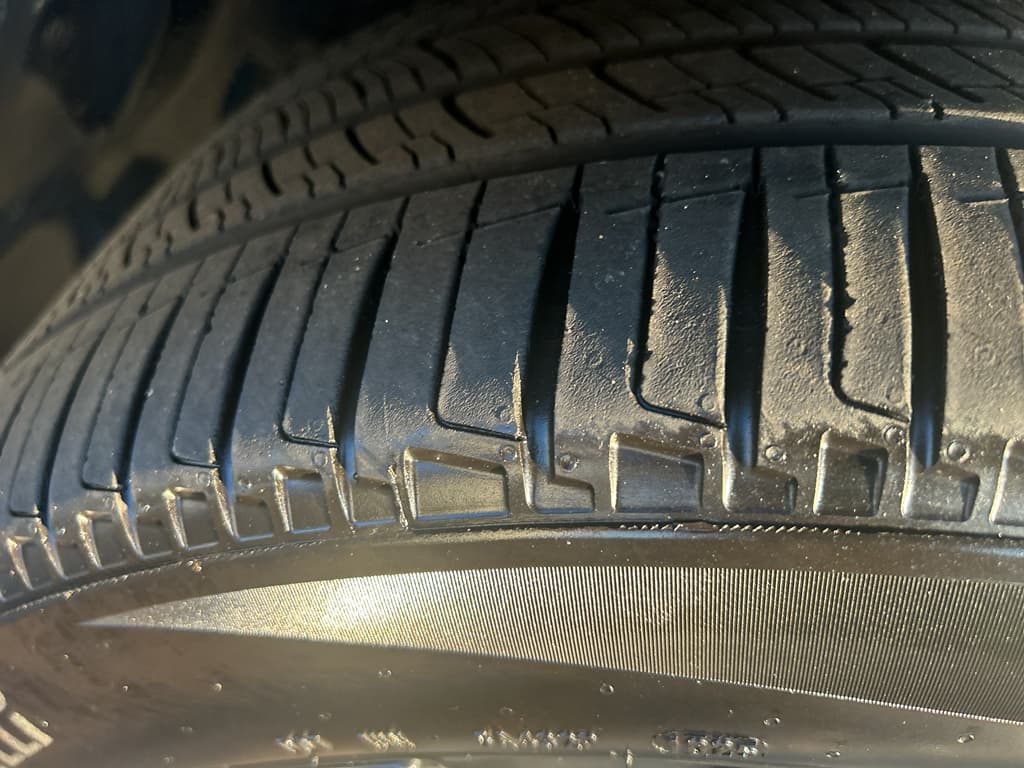 2026 Tesla Model Y view 26