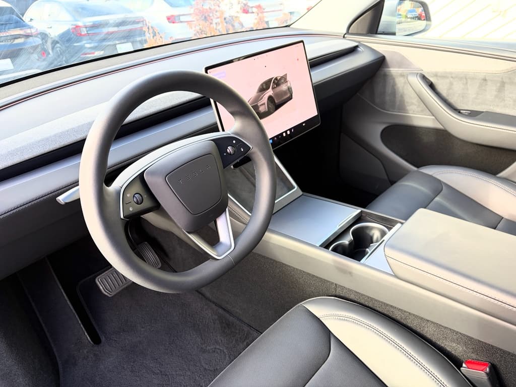 2026 Tesla Model Y view 18