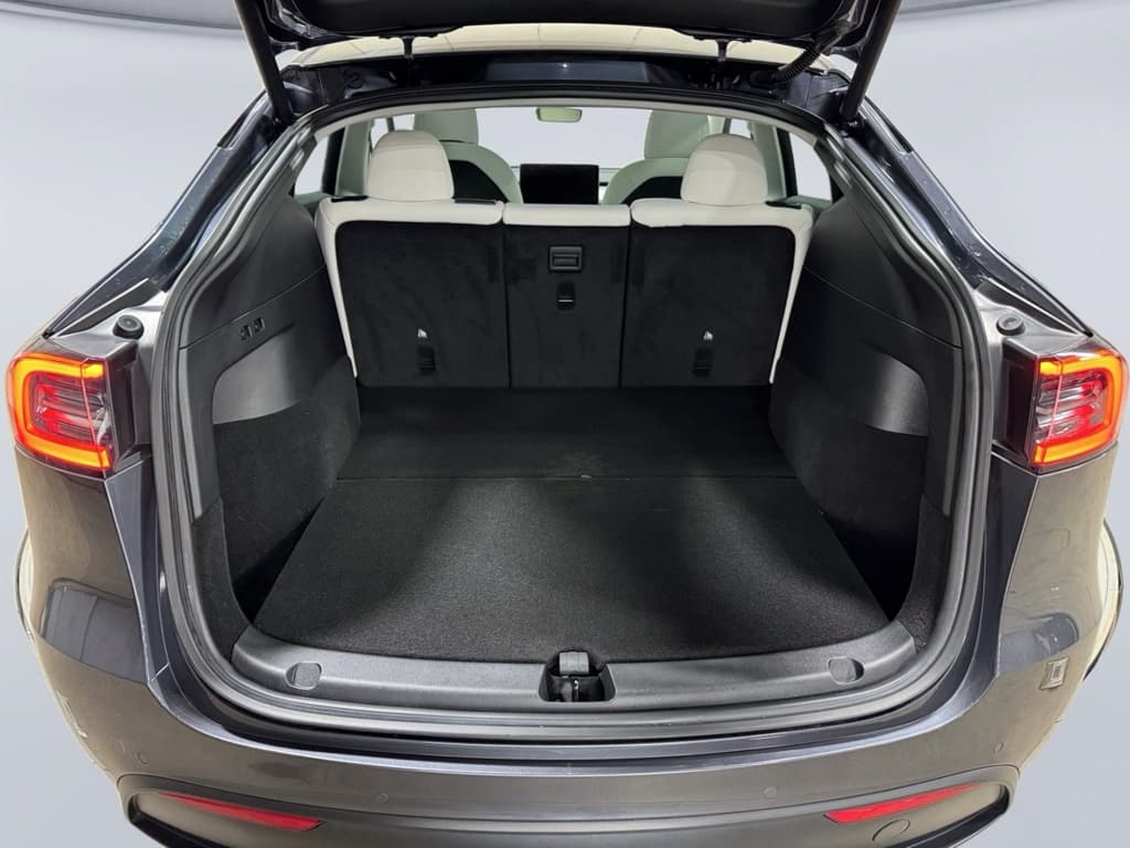 2022 Tesla Model Y view 25