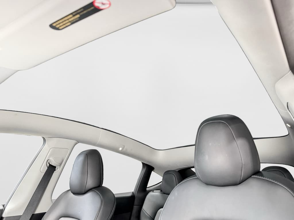 2022 Tesla Model Y view 22