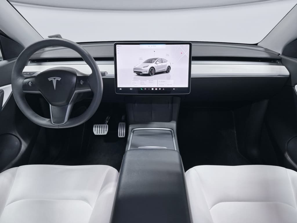 2022 Tesla Model Y view 16
