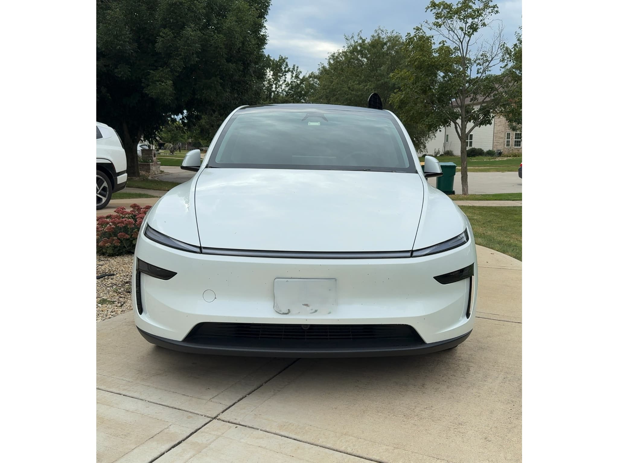 2026 Tesla Model Y view 2