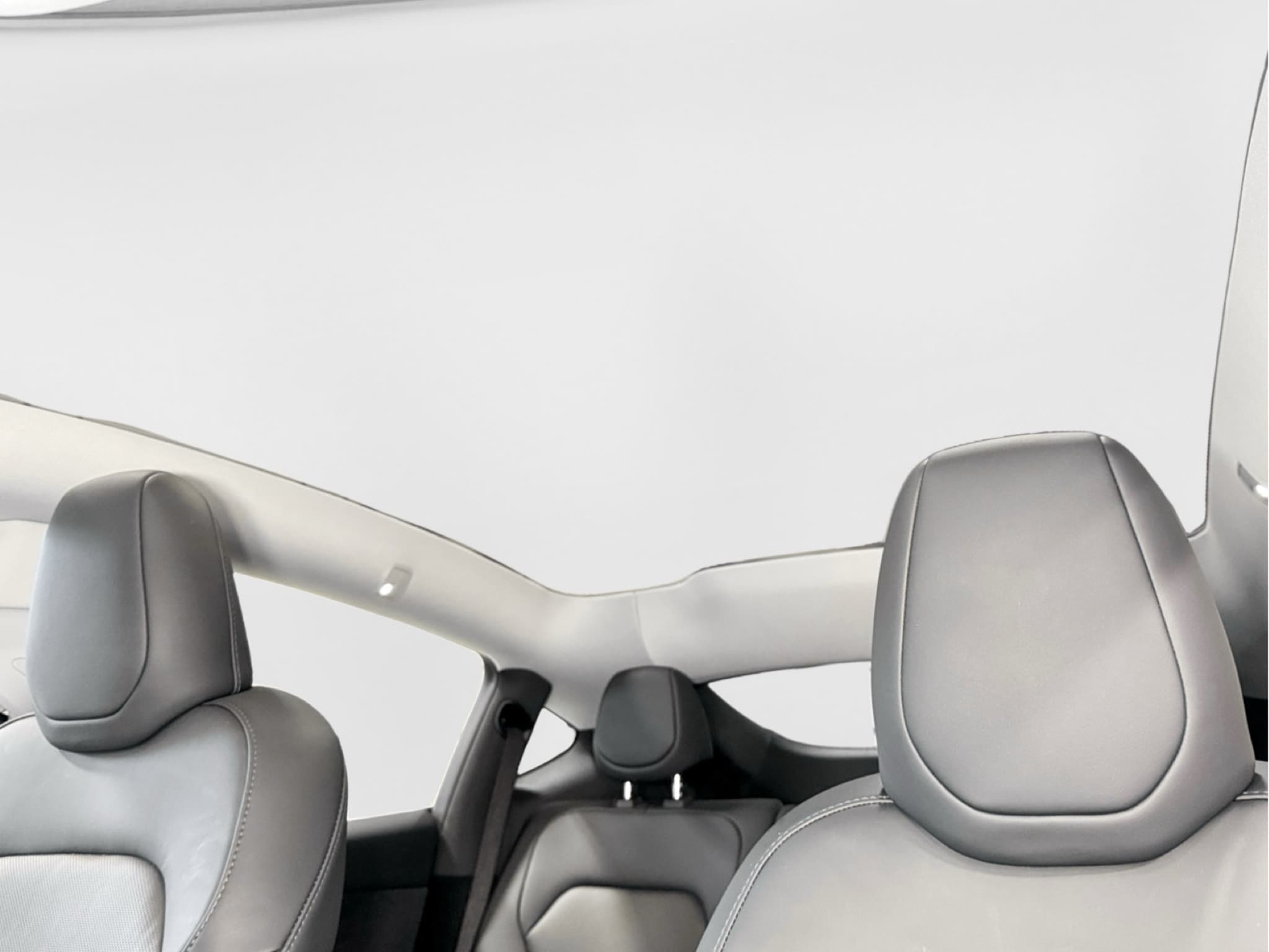 2026 Tesla Model Y view 23