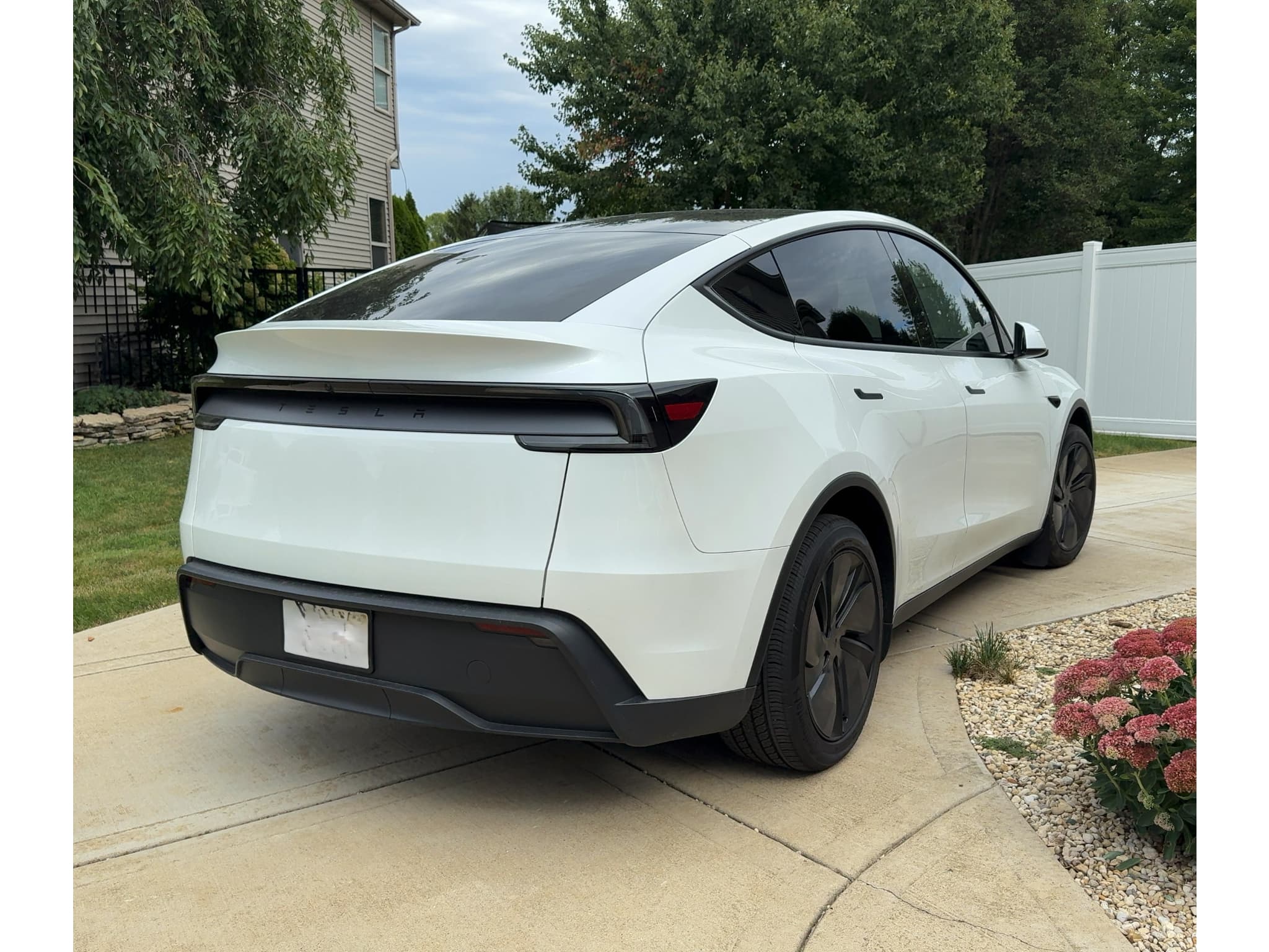 2026 Tesla Model Y view 6