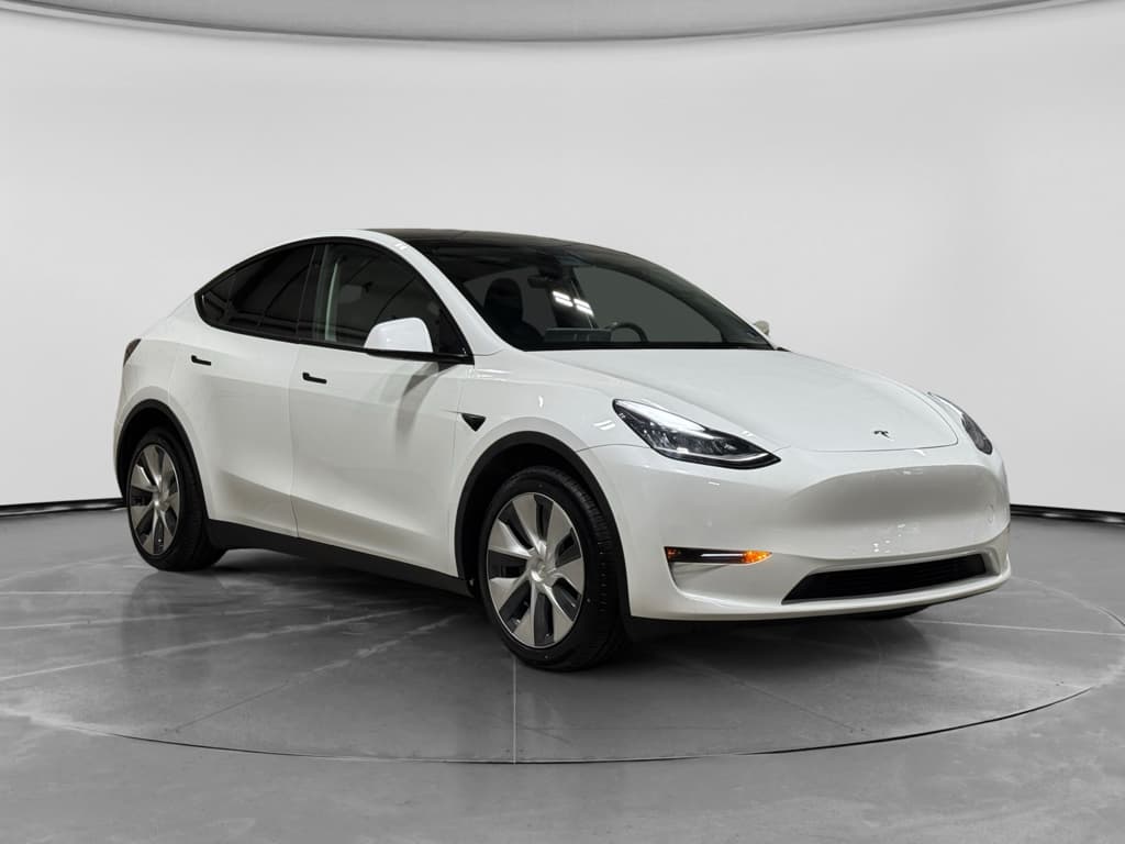 2022 Tesla Model Y view 4