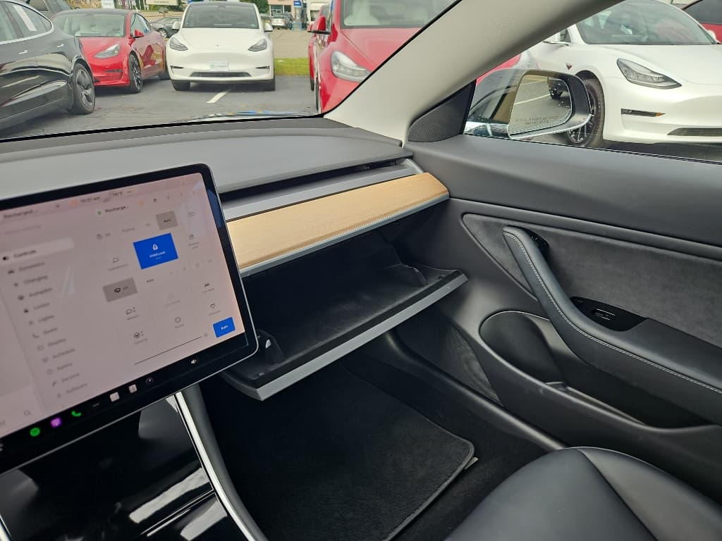 2019 Tesla Model 3 view 16
