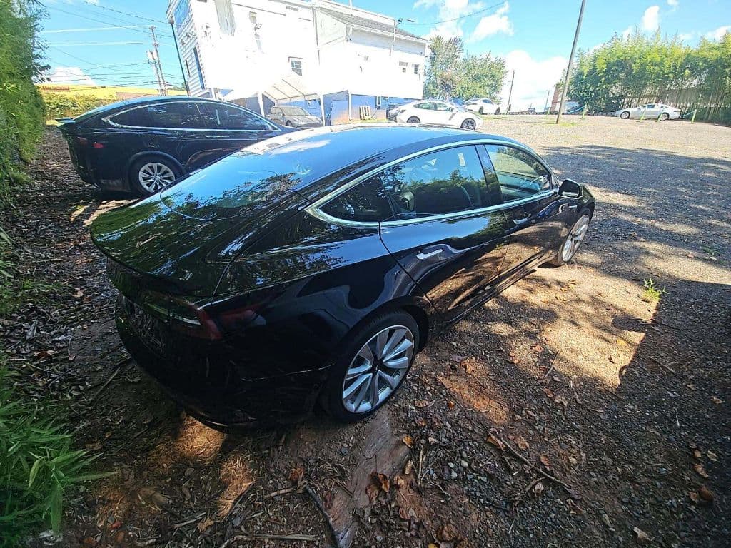 2019 Tesla Model 3 view 3