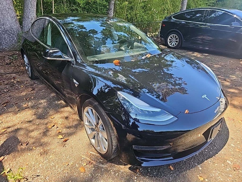 2019 Tesla Model 3 view 4