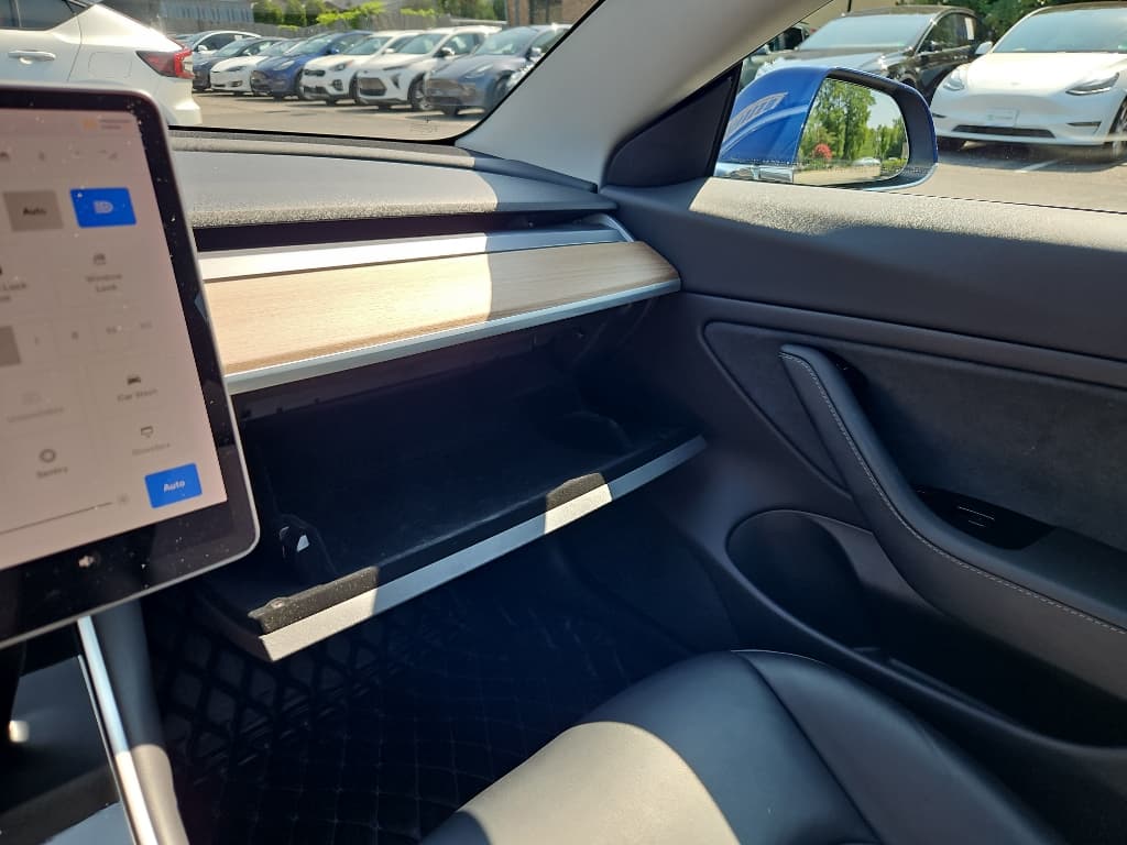2019 Tesla Model 3 view 13