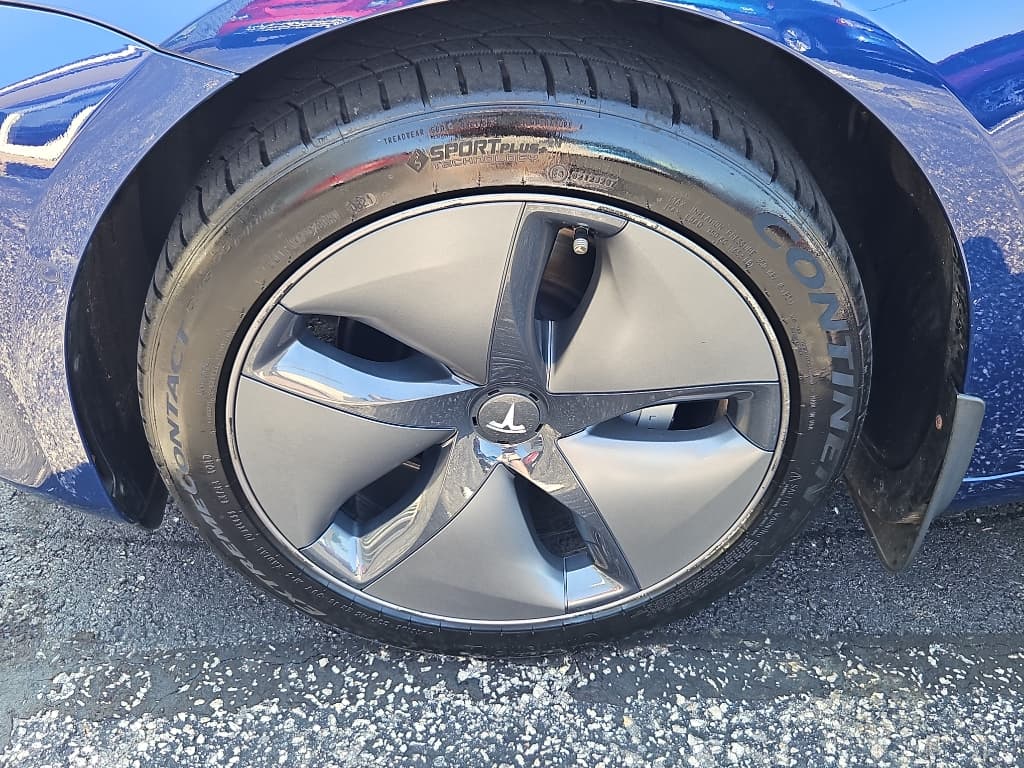 2019 Tesla Model 3 view 24