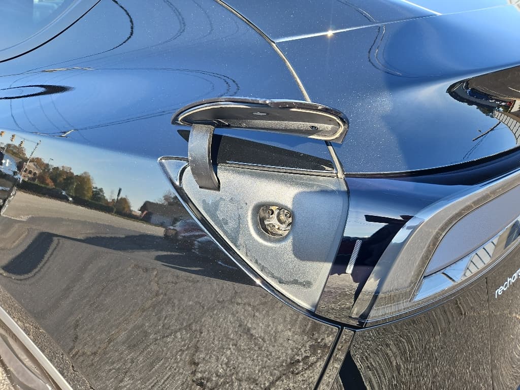 2026 Tesla Model Y view 5